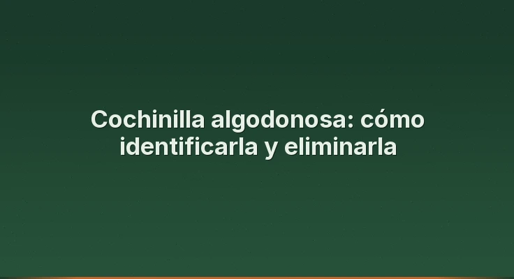 Cochinilla algodonosa: cómo identificarla y eliminarla