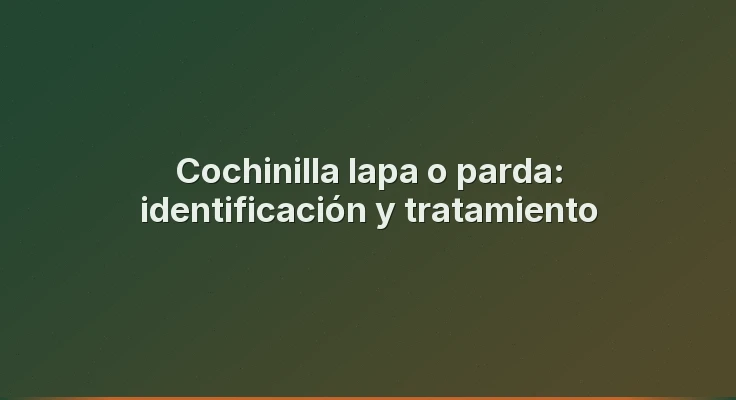 Cochinilla lapa o parda: identificación y tratamiento