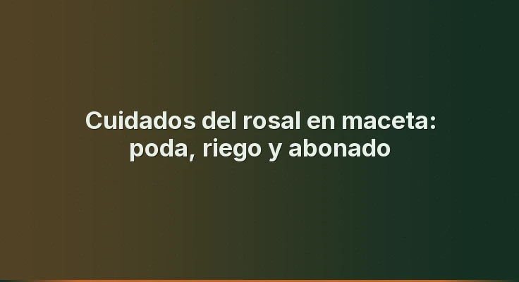 Cuidados del rosal en maceta: poda, riego y abonado