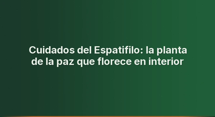 Cuidados del Espatifilo: la planta de la paz que florece en interior