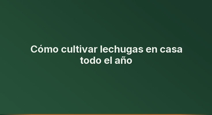 Cómo cultivar lechugas en casa todo el año