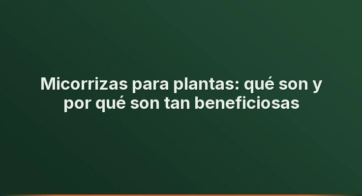 Micorrizas para plantas: qué son y por qué son tan beneficiosas