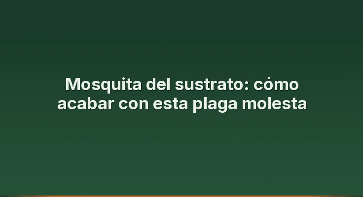 Mosquita del sustrato: cómo acabar con esta plaga molesta