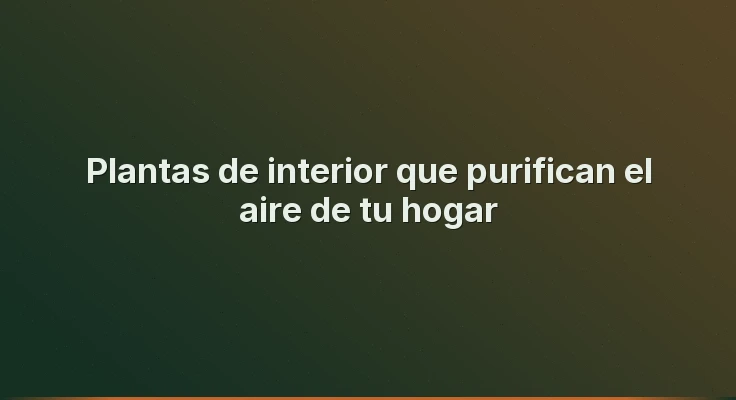 Plantas de interior que purifican el aire de tu hogar