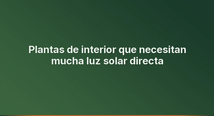 Plantas de interior que necesitan mucha luz solar directa