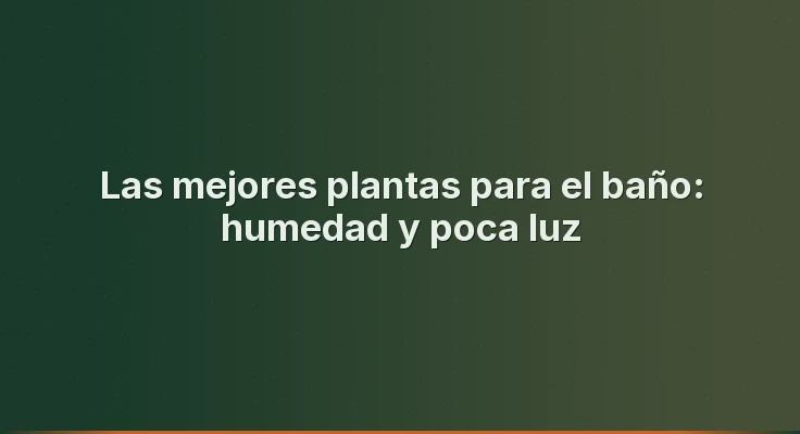 Las mejores plantas para el baño: humedad y poca luz