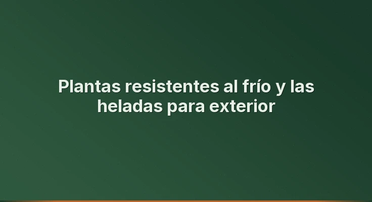 Plantas resistentes al frío y las heladas para exterior