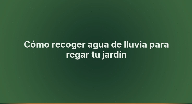 Cómo recoger agua de lluvia para regar tu jardín