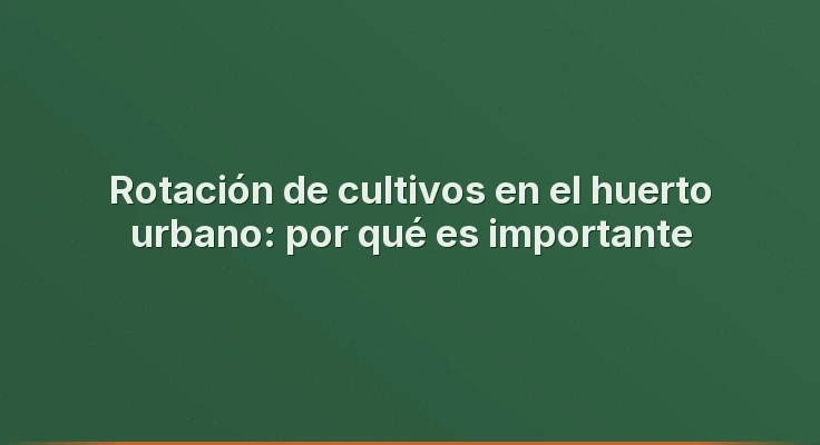 Rotación de cultivos en el huerto urbano: por qué es importante