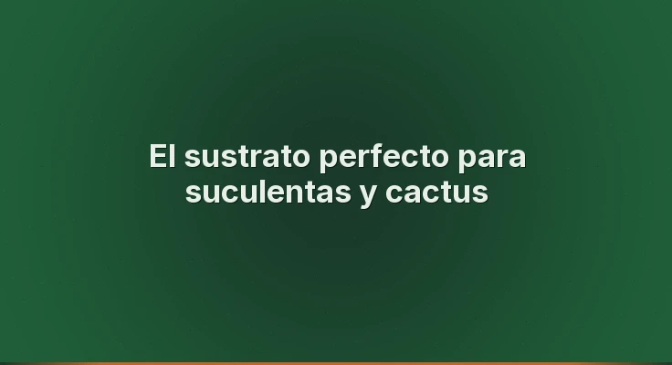 El sustrato perfecto para suculentas y cactus