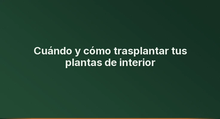 Cuándo y cómo trasplantar tus plantas de interior